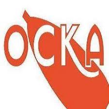 OCKA recherche un apprenti APT  Formation Sport 89